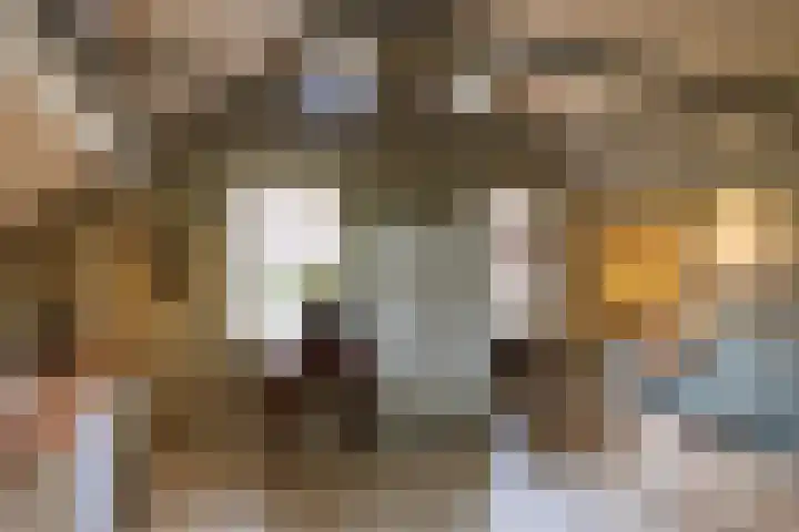 Veldweg 1 Dwingeloo thumbnail 27