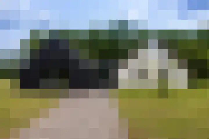Veldweg 1 Dwingeloo thumbnail 29