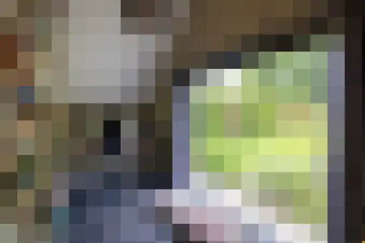 Veldweg 1 Dwingeloo thumbnail 30