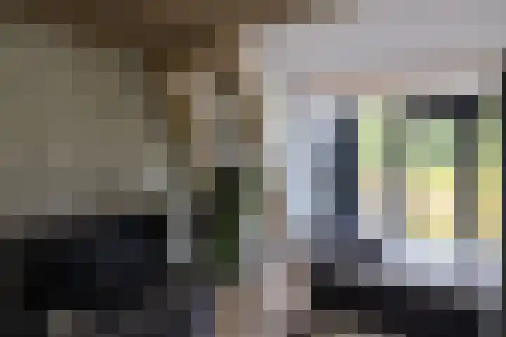 Veldweg 1 Dwingeloo thumbnail 34