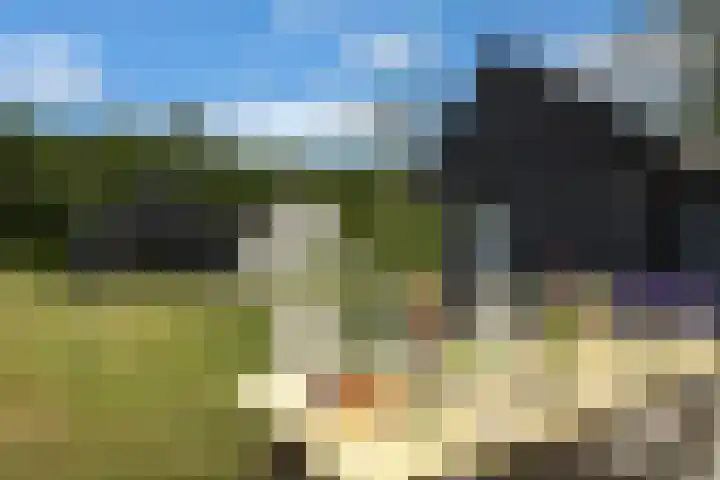 Veldweg 1 Dwingeloo thumbnail 4