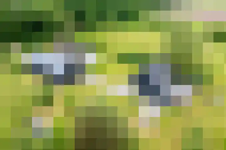 Veldweg 1 Dwingeloo thumbnail 42