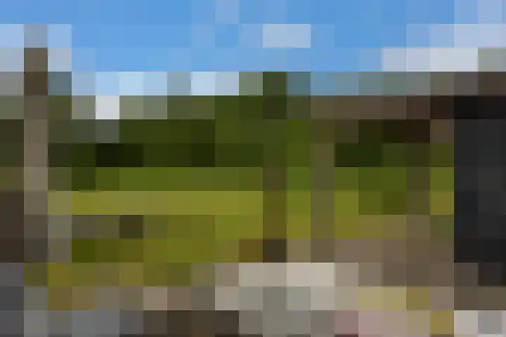 Veldweg 1 Dwingeloo thumbnail 44