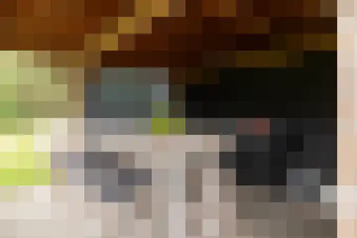 Veldweg 1 Dwingeloo thumbnail 45