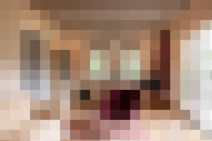 Veldweg 1 Dwingeloo thumbnail 47