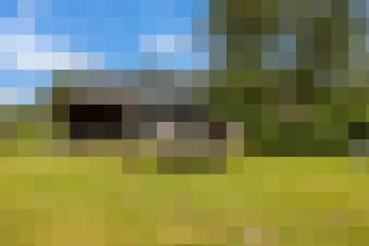 Veldweg 1 Dwingeloo thumbnail 5