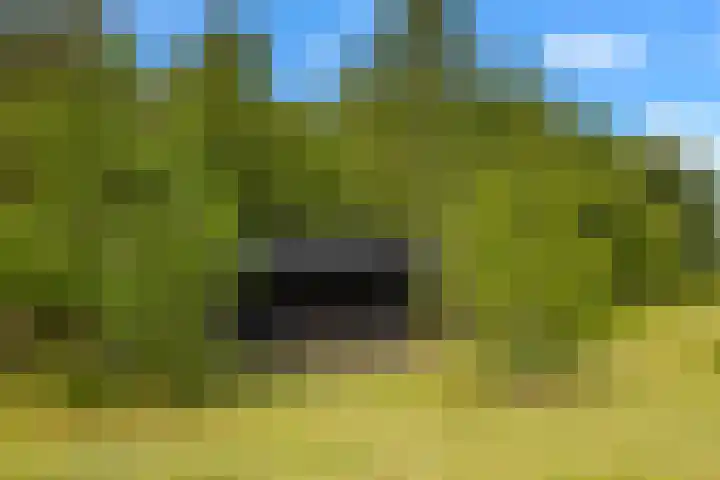 Veldweg 1 Dwingeloo thumbnail 50