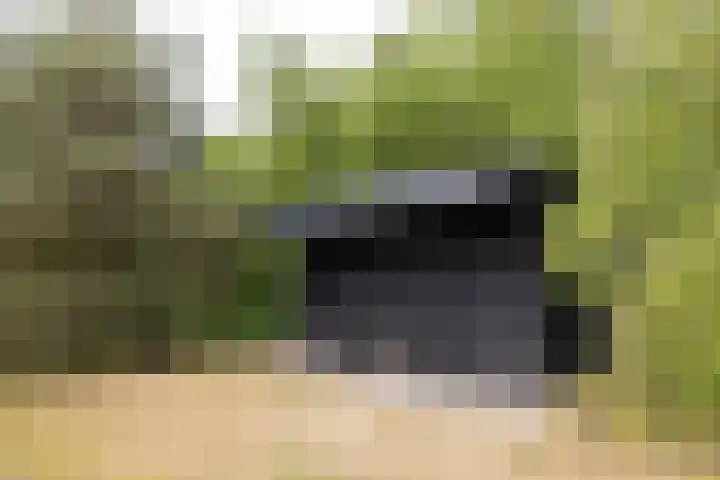 Veldweg 1 Dwingeloo thumbnail 51