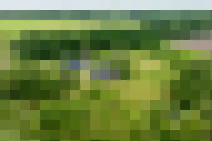 Veldweg 1 Dwingeloo thumbnail 53