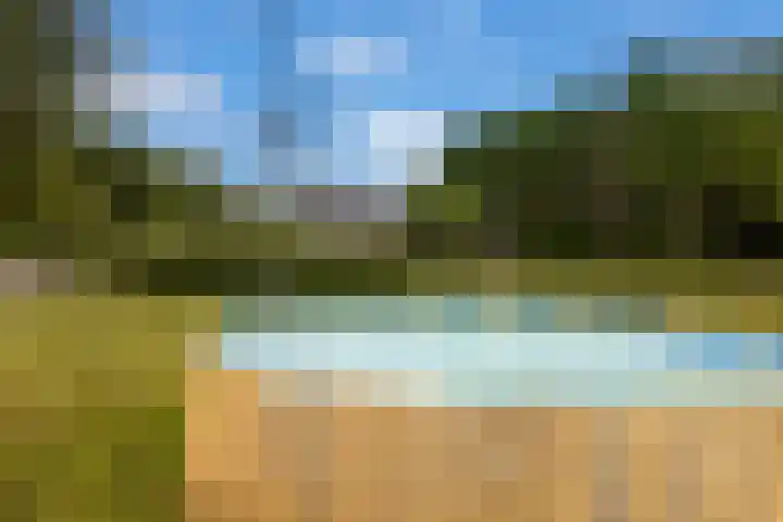 Veldweg 1 Dwingeloo thumbnail 54