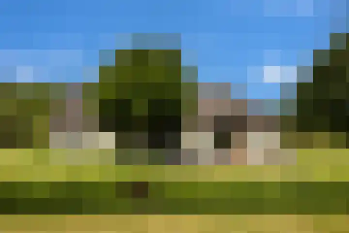 Veldweg 1 Dwingeloo thumbnail 55
