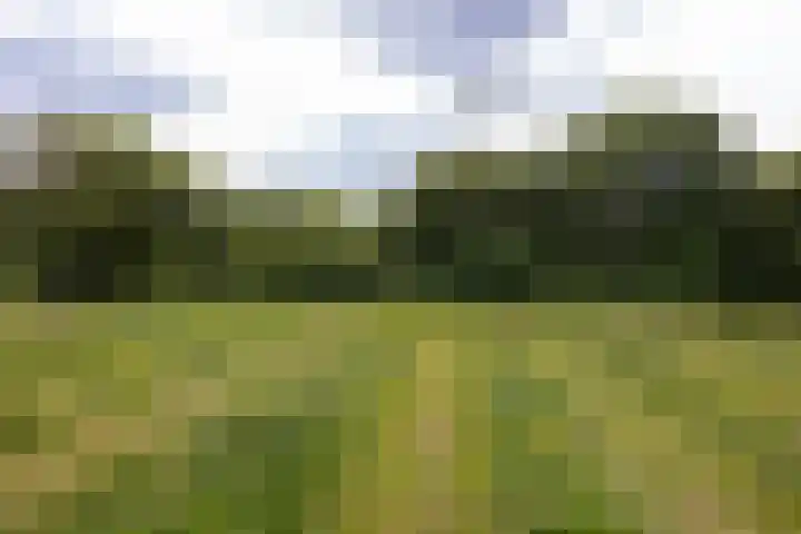 Veldweg 1 Dwingeloo thumbnail 57
