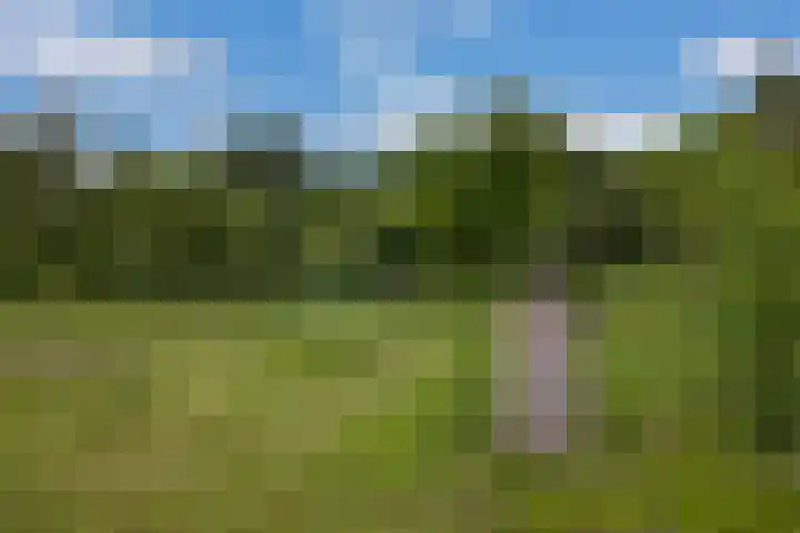 Veldweg 1 Dwingeloo thumbnail 58