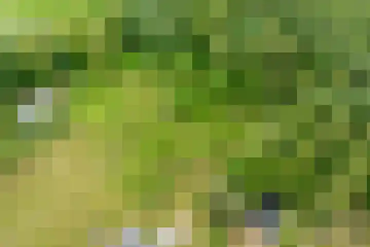 Veldweg 1 Dwingeloo thumbnail 59