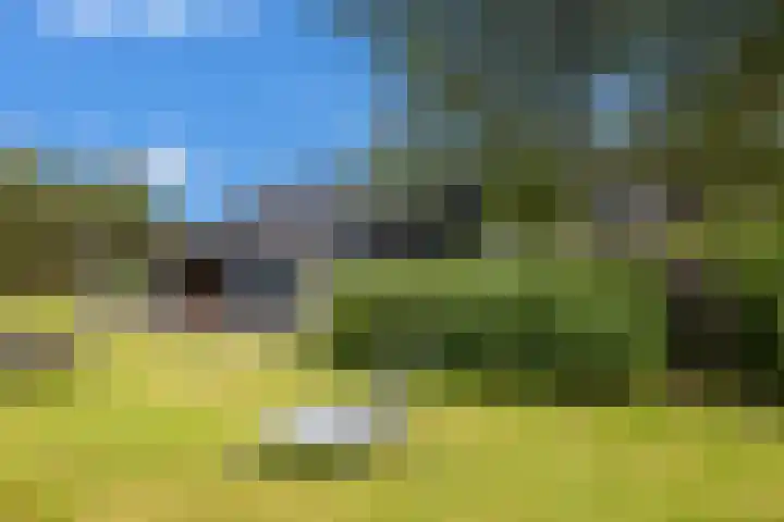 Veldweg 1 Dwingeloo thumbnail 6