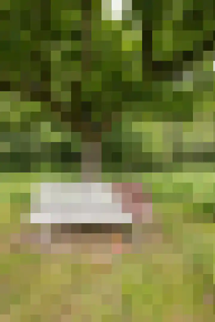 Veldweg 1 Dwingeloo thumbnail 61