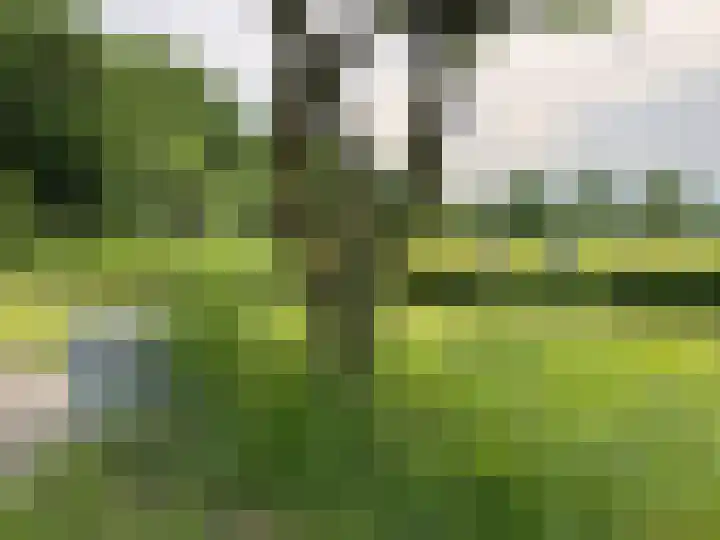 Veldweg 1 Dwingeloo thumbnail 62