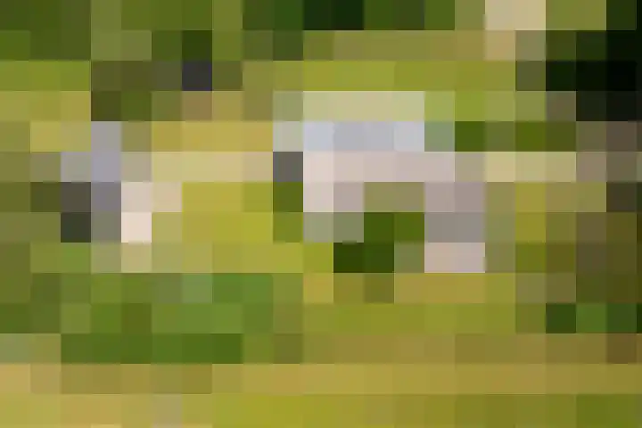 Veldweg 1 Dwingeloo thumbnail 65
