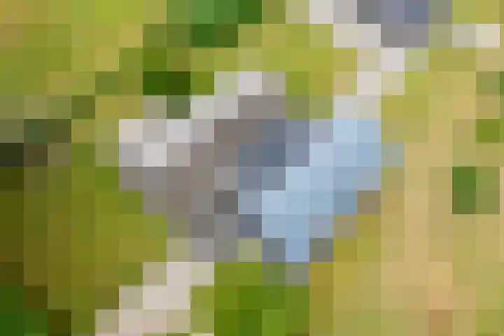 Veldweg 1 Dwingeloo thumbnail 66