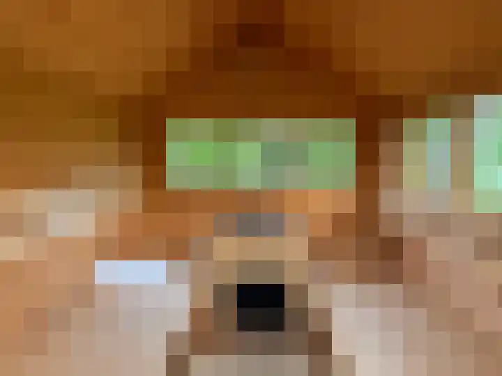 Veldweg 1 Dwingeloo thumbnail 8