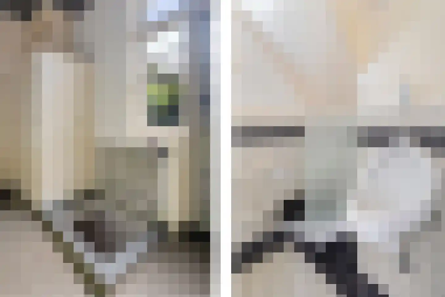 Veldweg 1 Huizen thumbnail 17