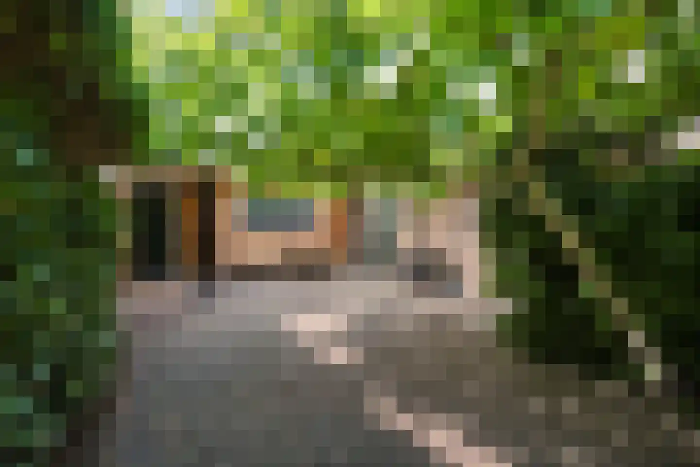 Veldweg 1 Huizen thumbnail 21