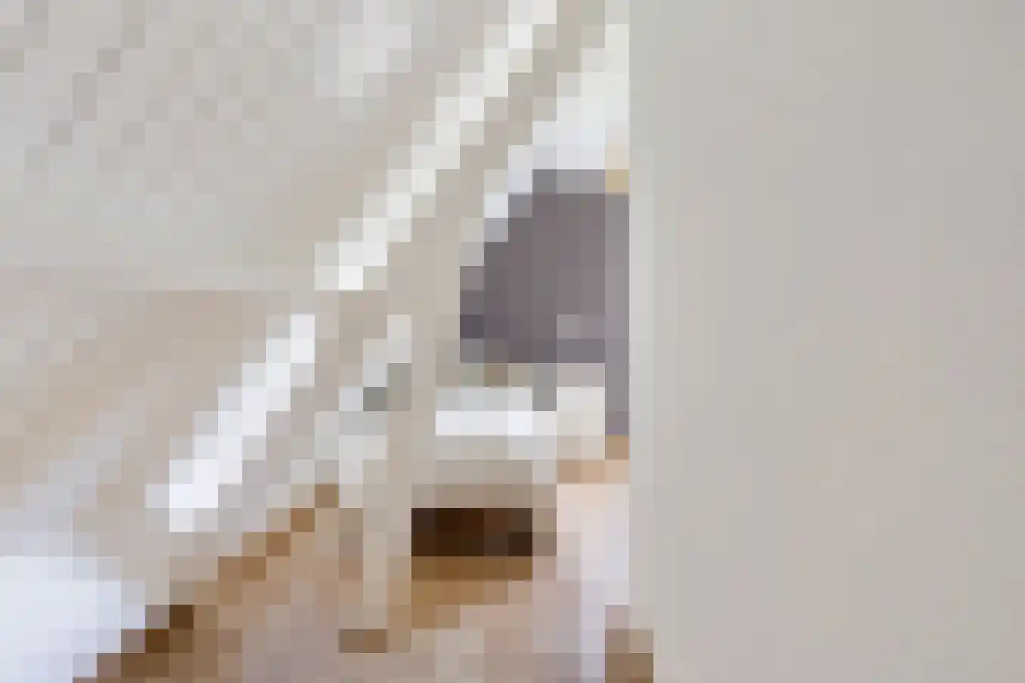 Veldweg 1 Huizen thumbnail 30
