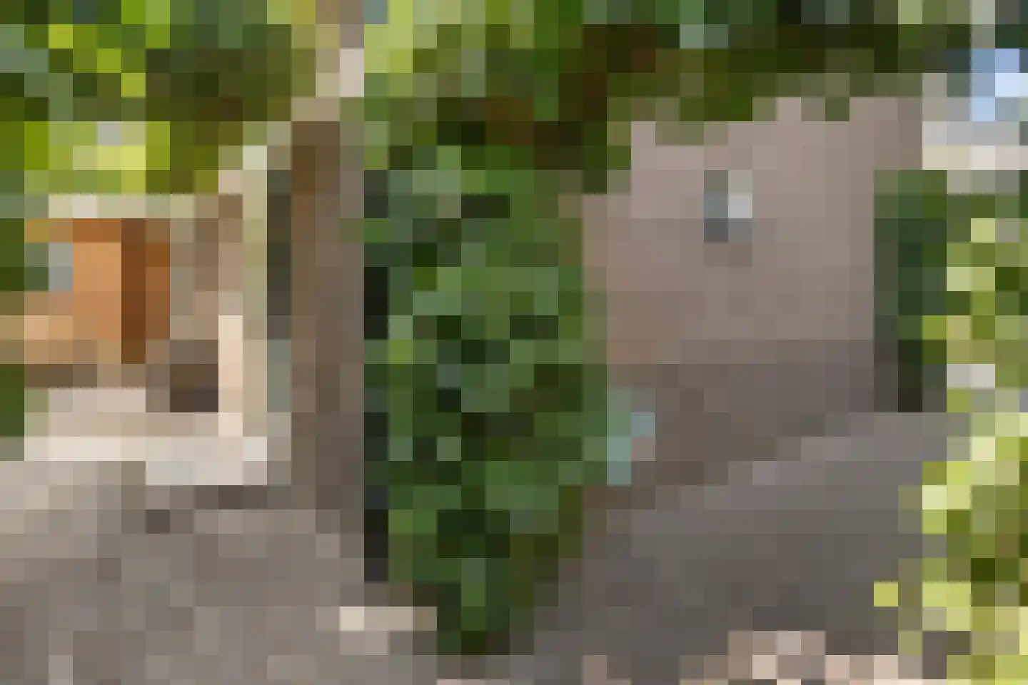 Veldweg 1 Huizen thumbnail 38