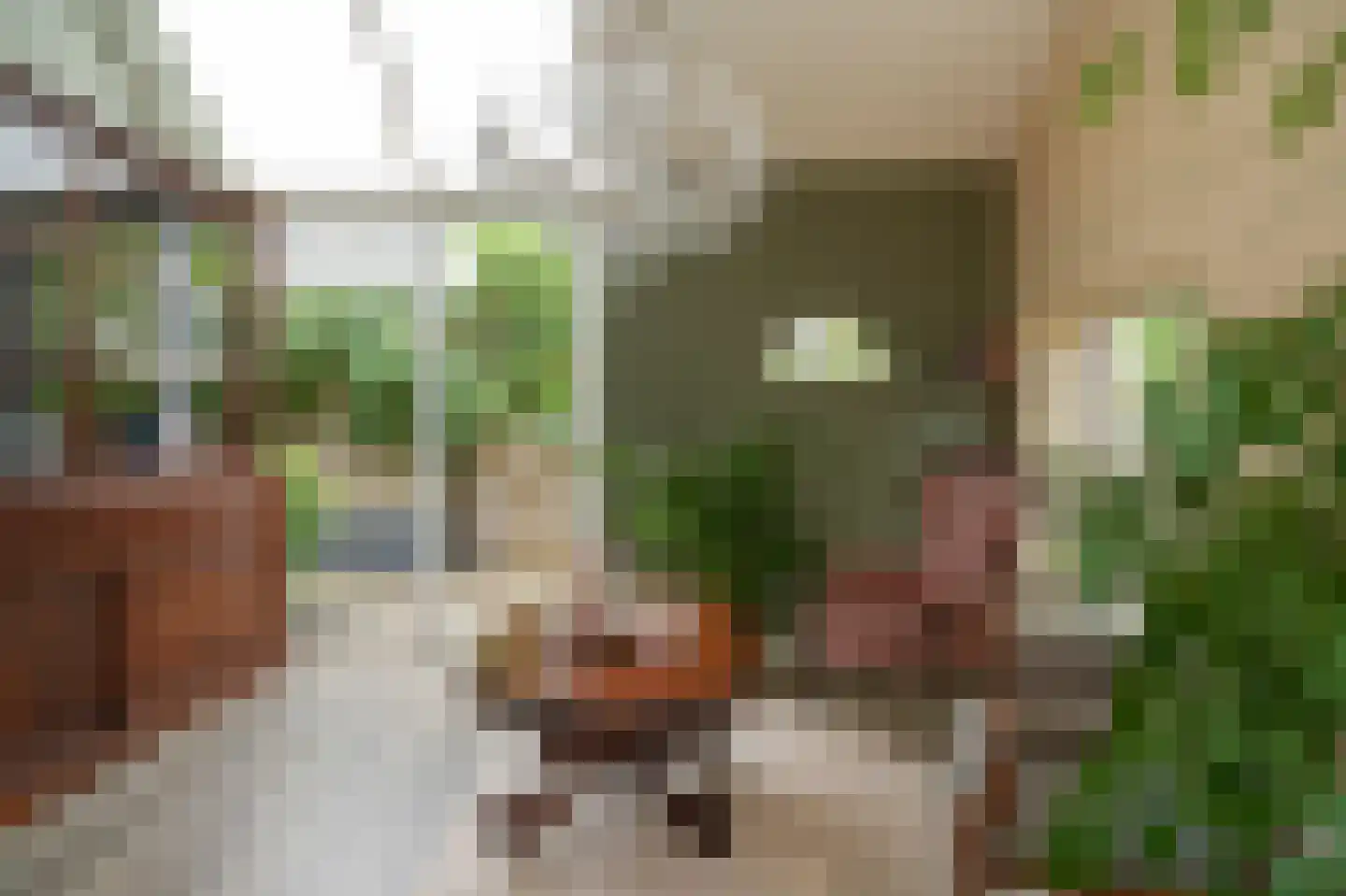 Veldweg 1 Welsum thumbnail 10