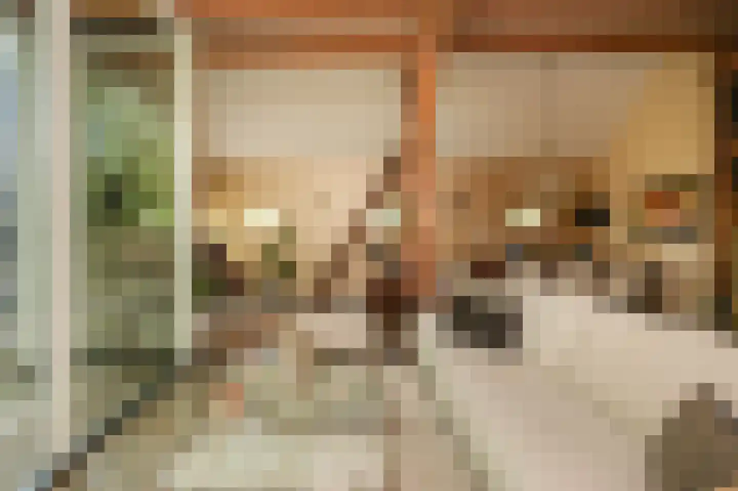 Veldweg 1 Welsum thumbnail 13
