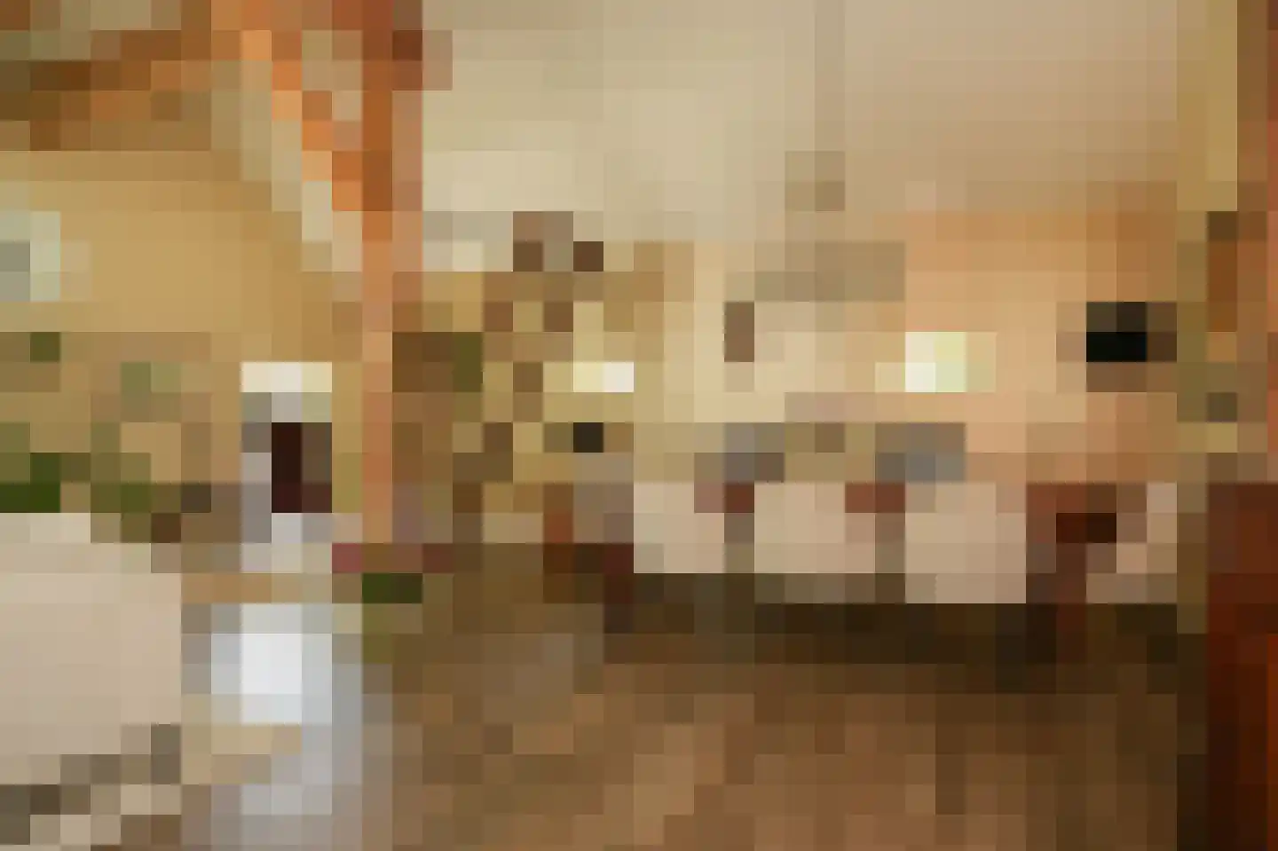 Veldweg 1 Welsum thumbnail 16