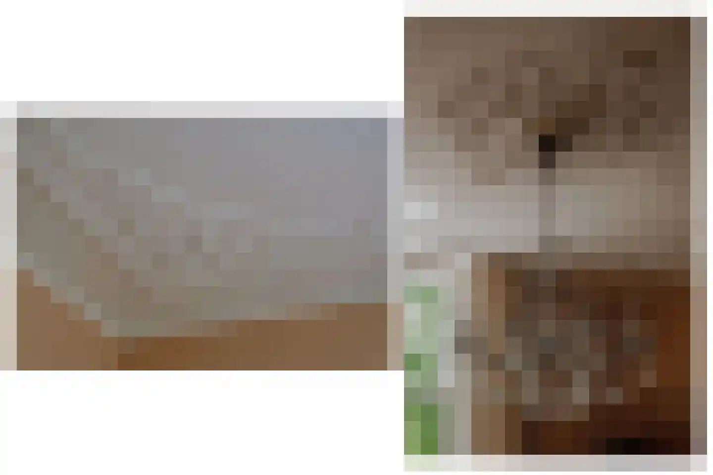 Veldweg 1 Welsum thumbnail 30