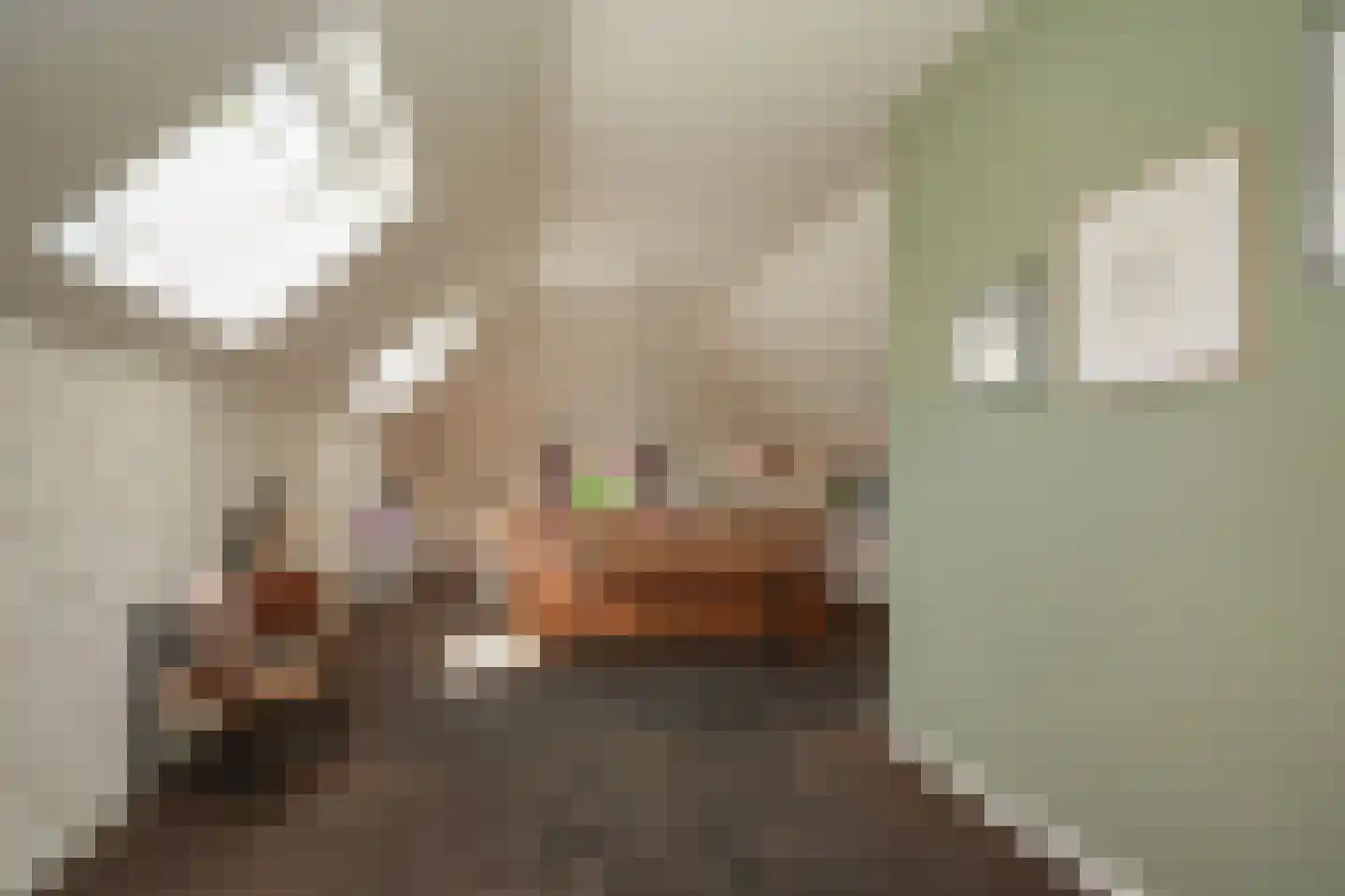 Veldweg 1 Welsum thumbnail 37