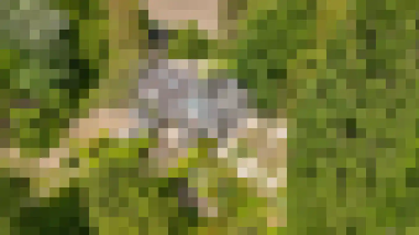 Veldweg 1 Welsum thumbnail 4