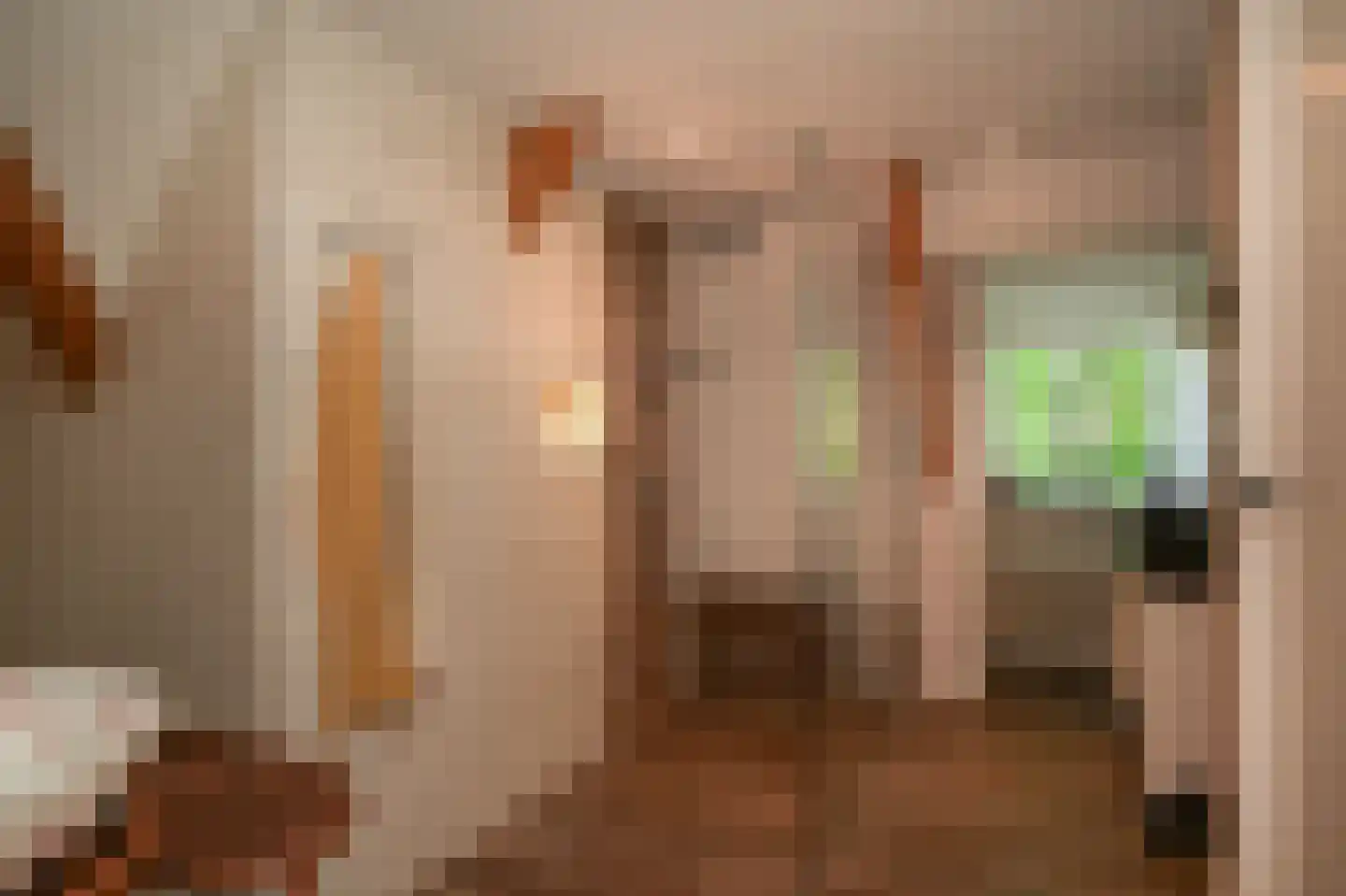 Veldweg 1 Welsum thumbnail 40