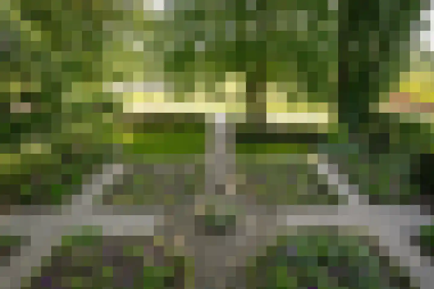 Veldweg 1 Welsum thumbnail 49