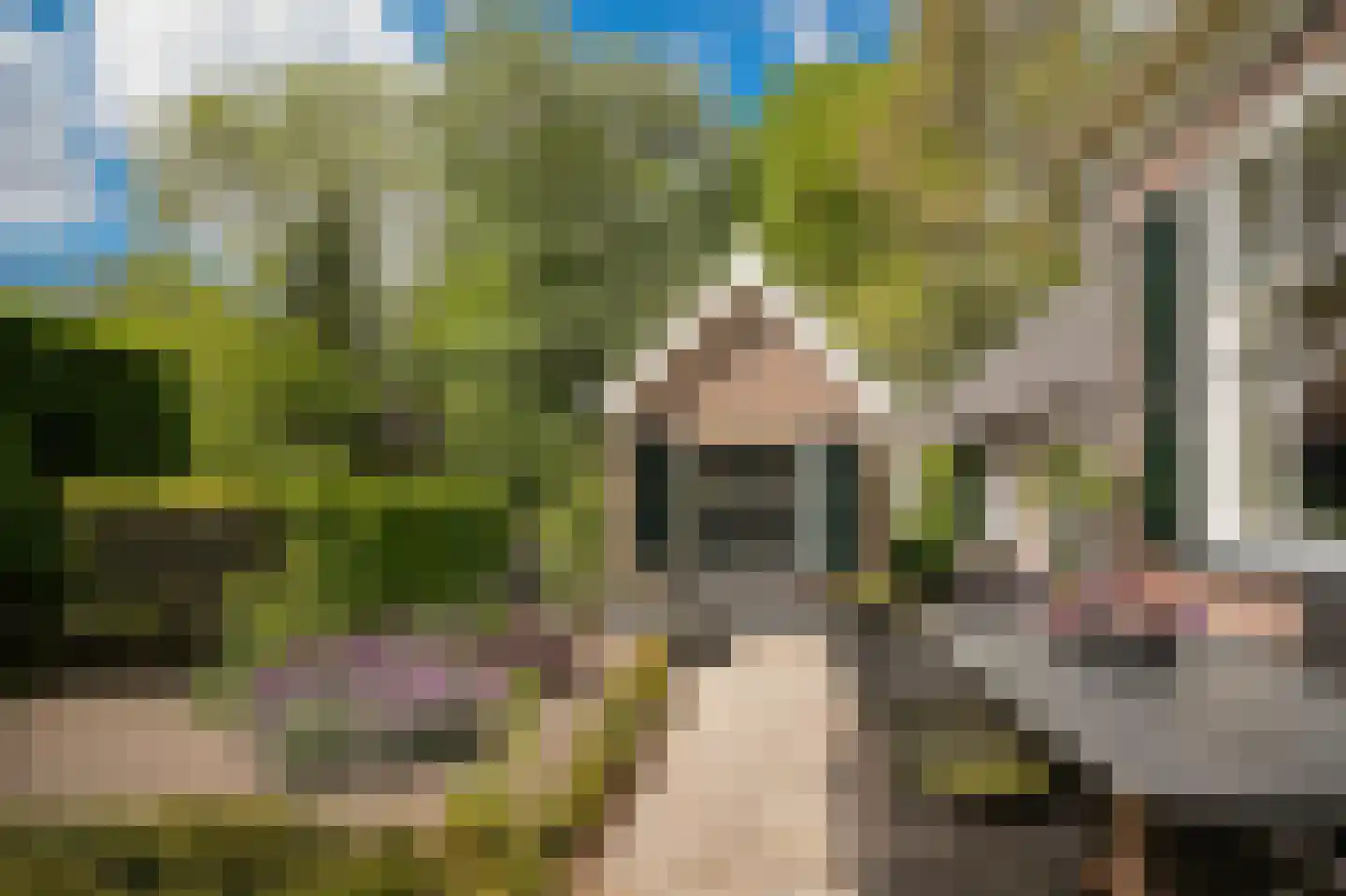 Veldweg 1 Welsum thumbnail 51