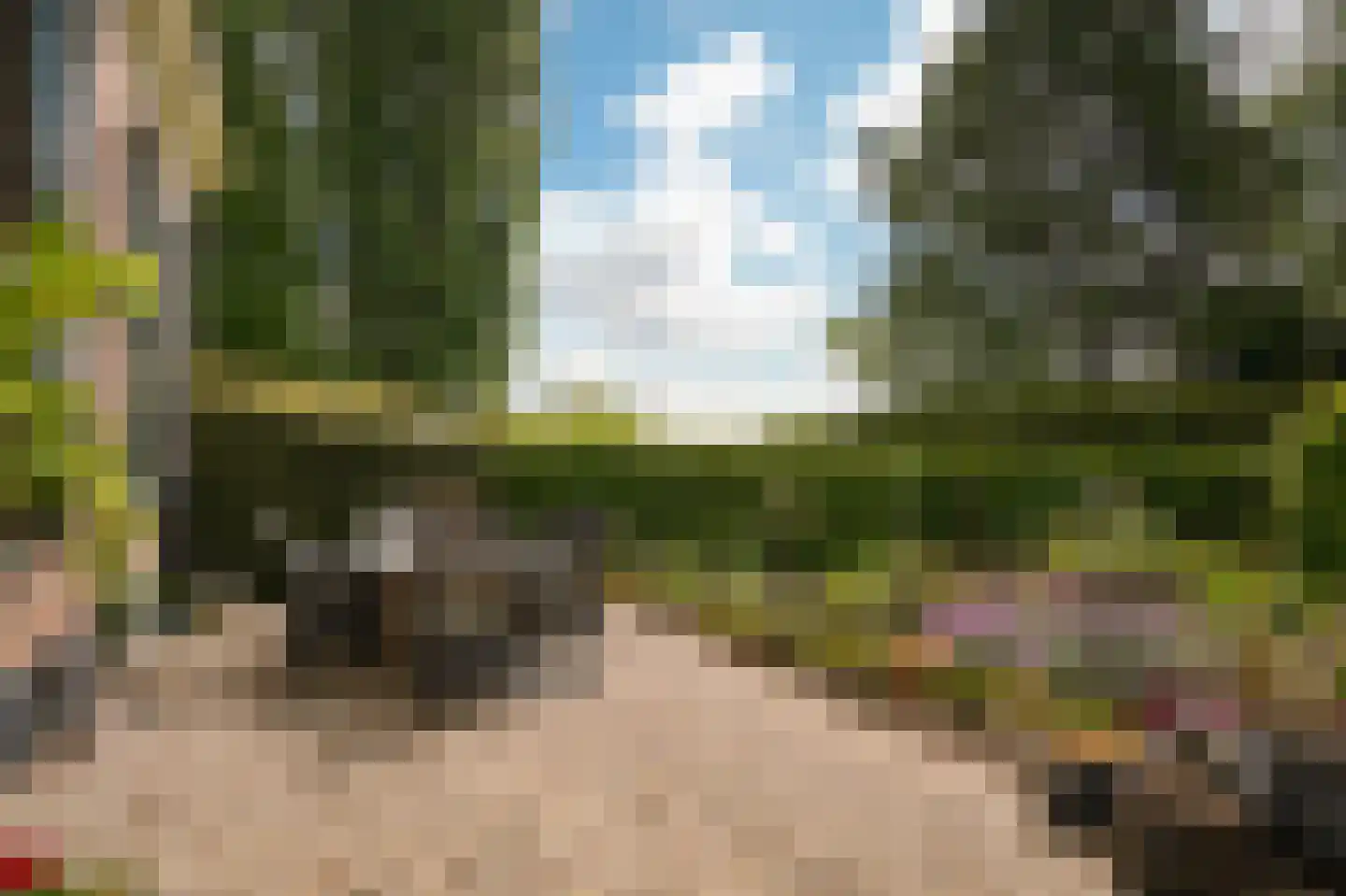 Veldweg 1 Welsum thumbnail 56