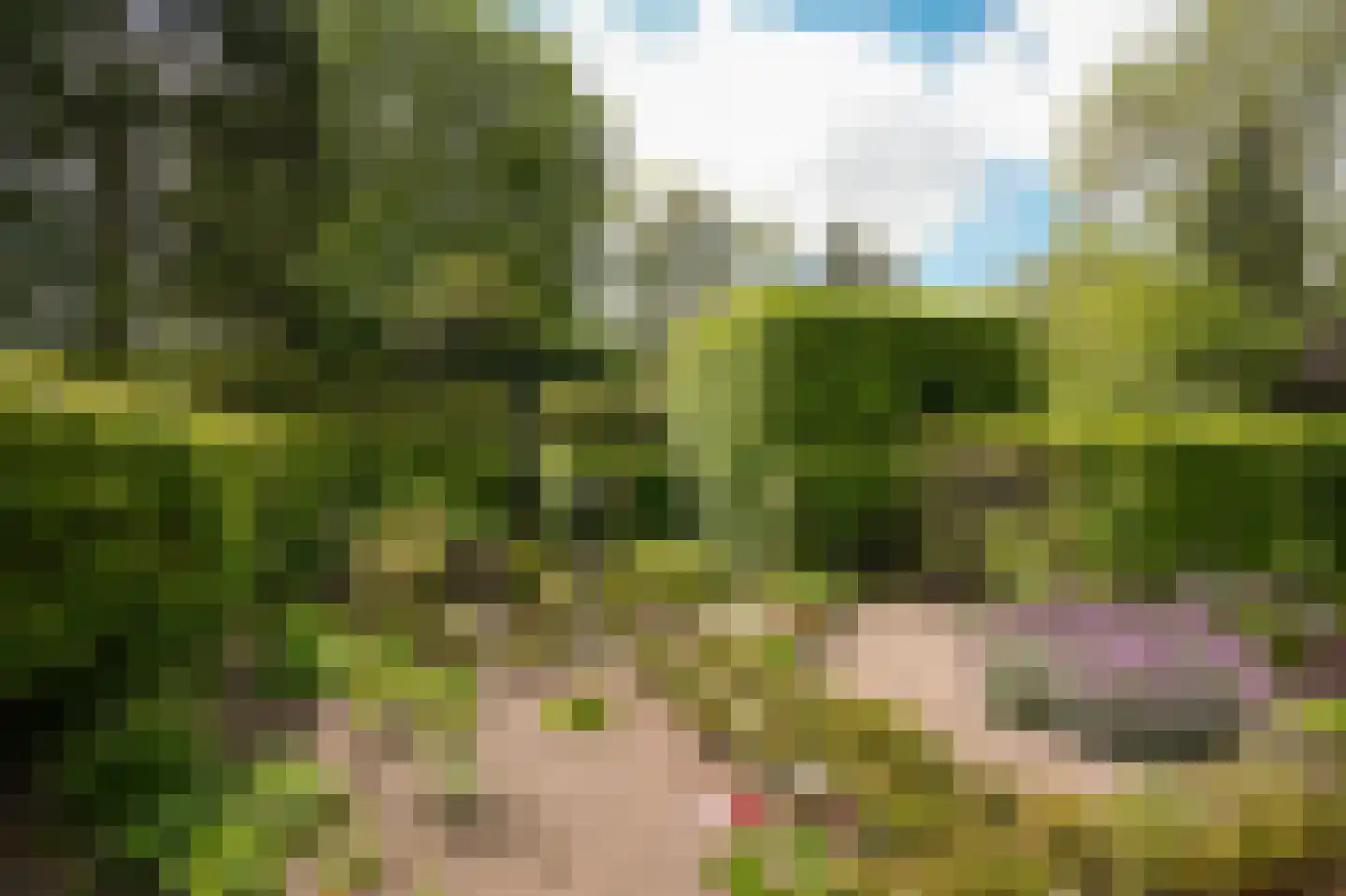 Veldweg 1 Welsum thumbnail 57