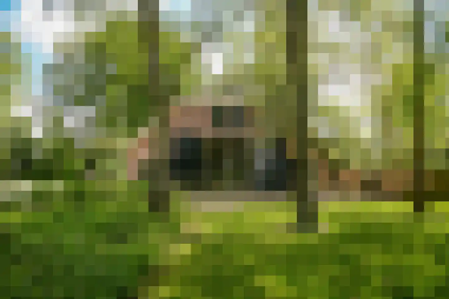 Veldweg 1 Welsum thumbnail 59