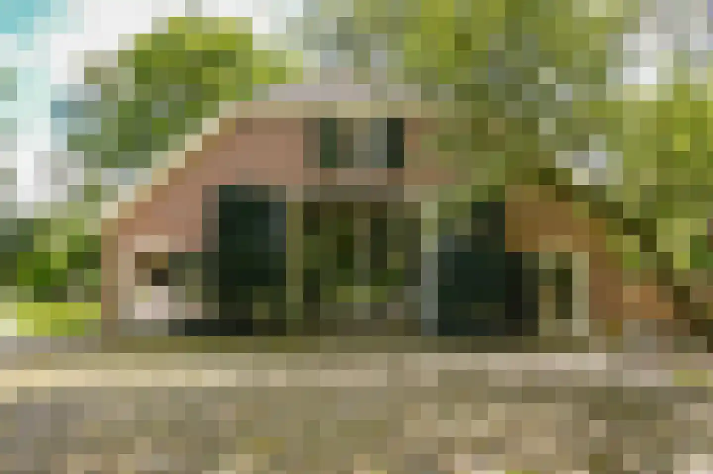 Veldweg 1 Welsum thumbnail 60