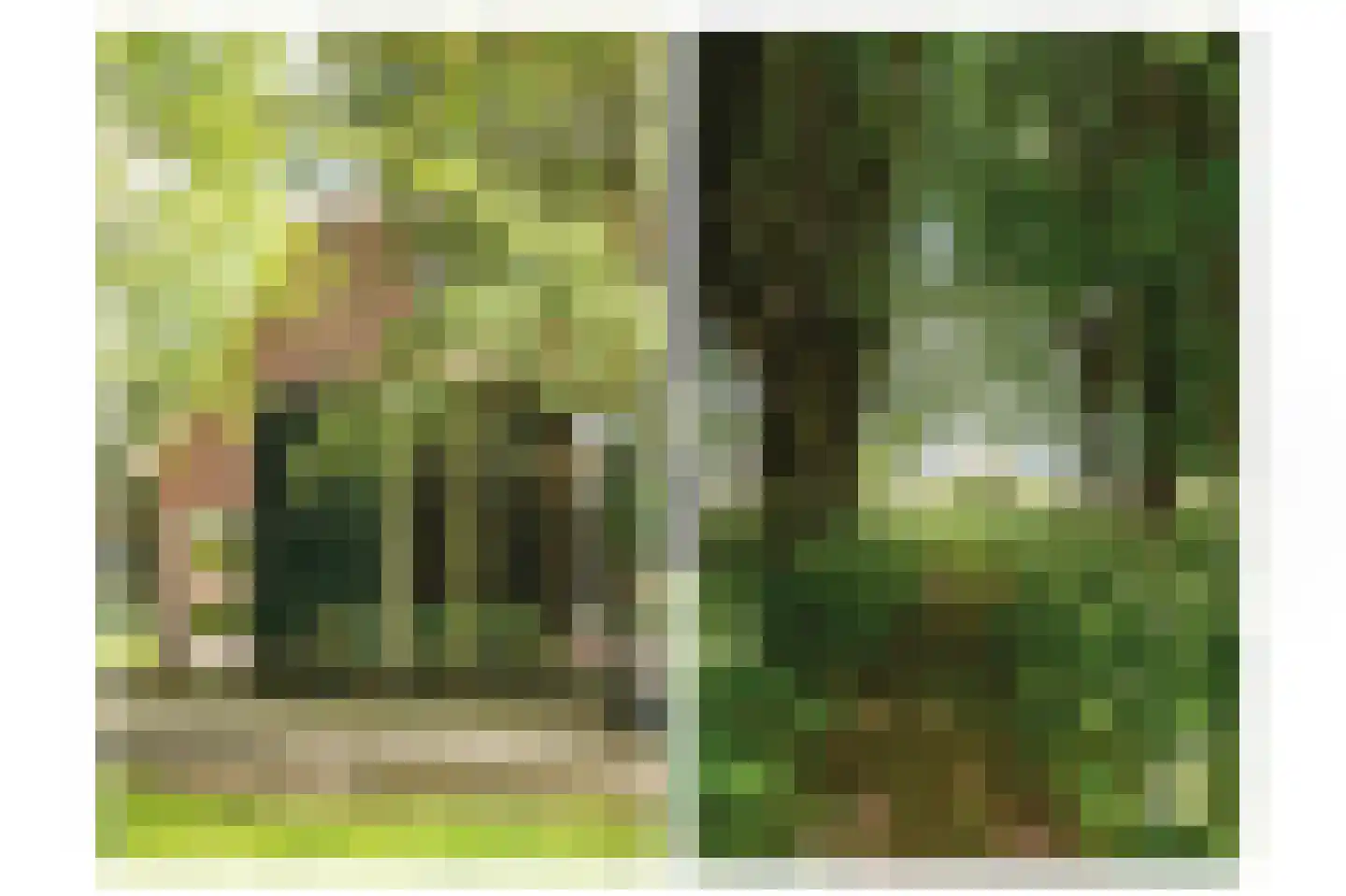 Veldweg 1 Welsum thumbnail 61