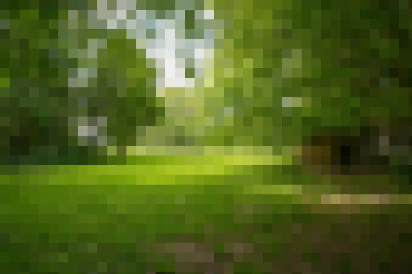 Veldweg 1 Welsum thumbnail 65