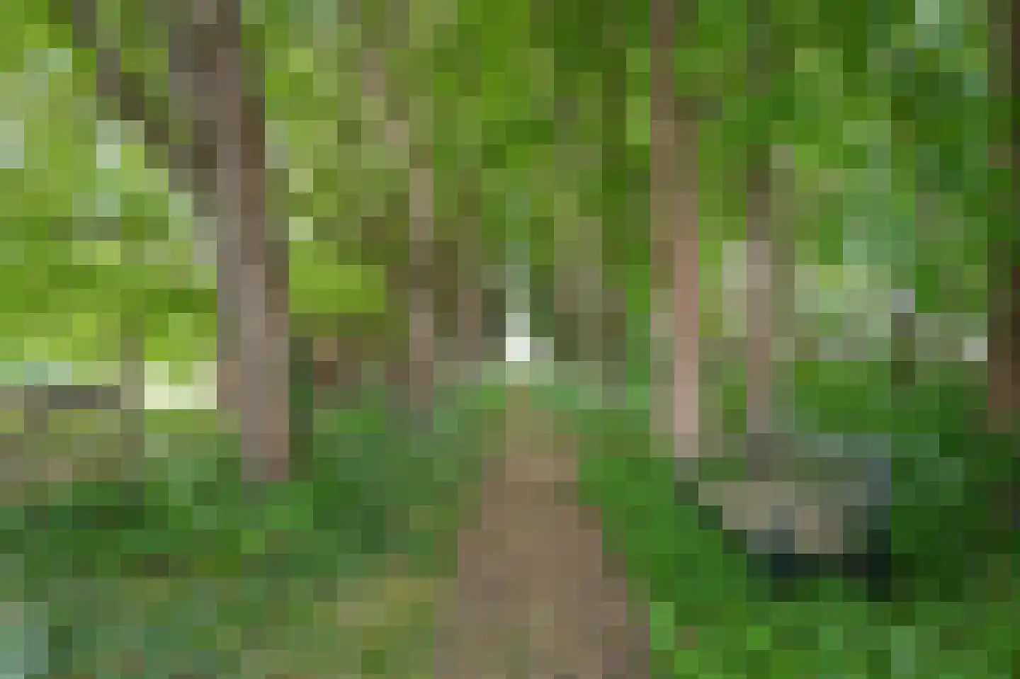Veldweg 1 Welsum thumbnail 66