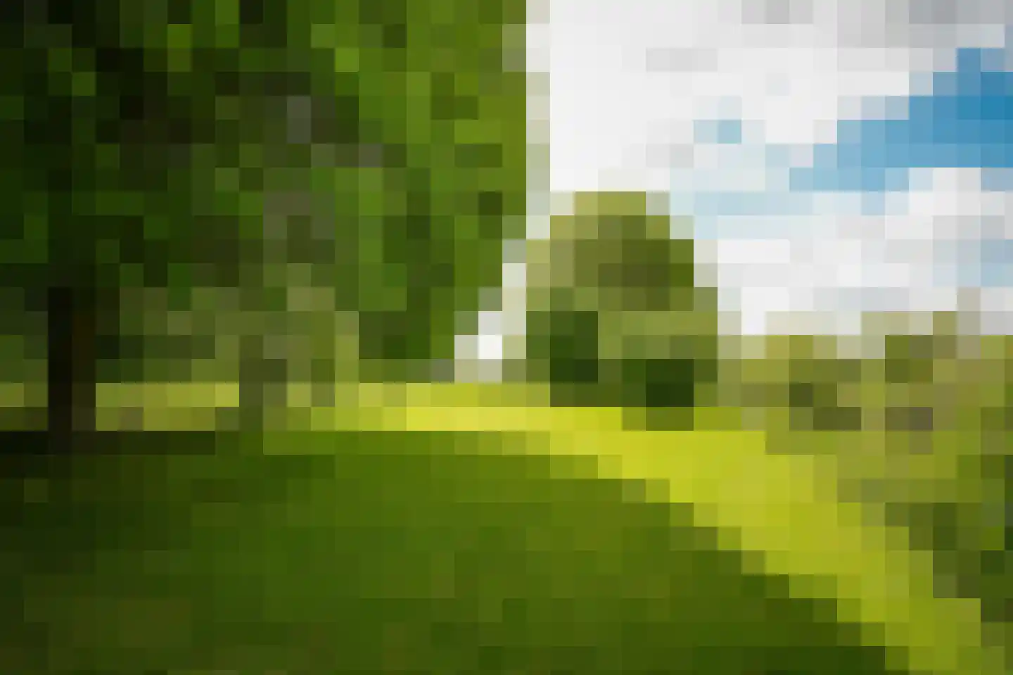 Veldweg 1 Welsum thumbnail 67