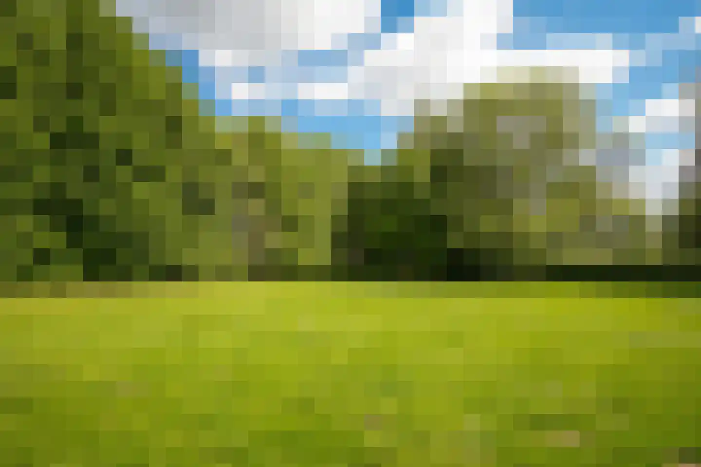 Veldweg 1 Welsum thumbnail 68
