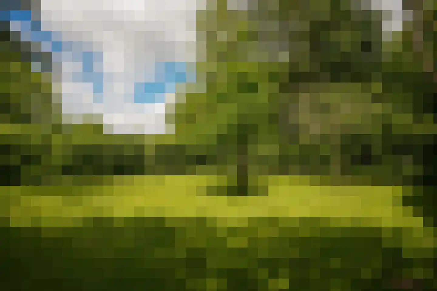 Veldweg 1 Welsum thumbnail 69