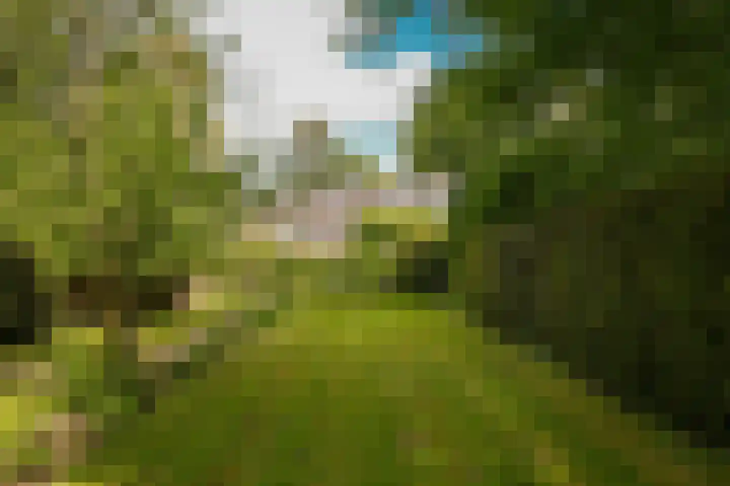 Veldweg 1 Welsum thumbnail 70