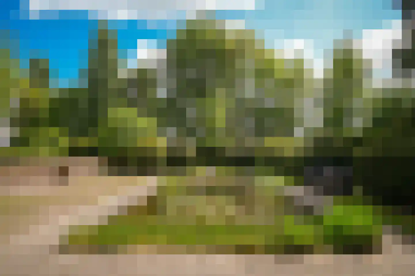 Veldweg 1 Welsum thumbnail 71