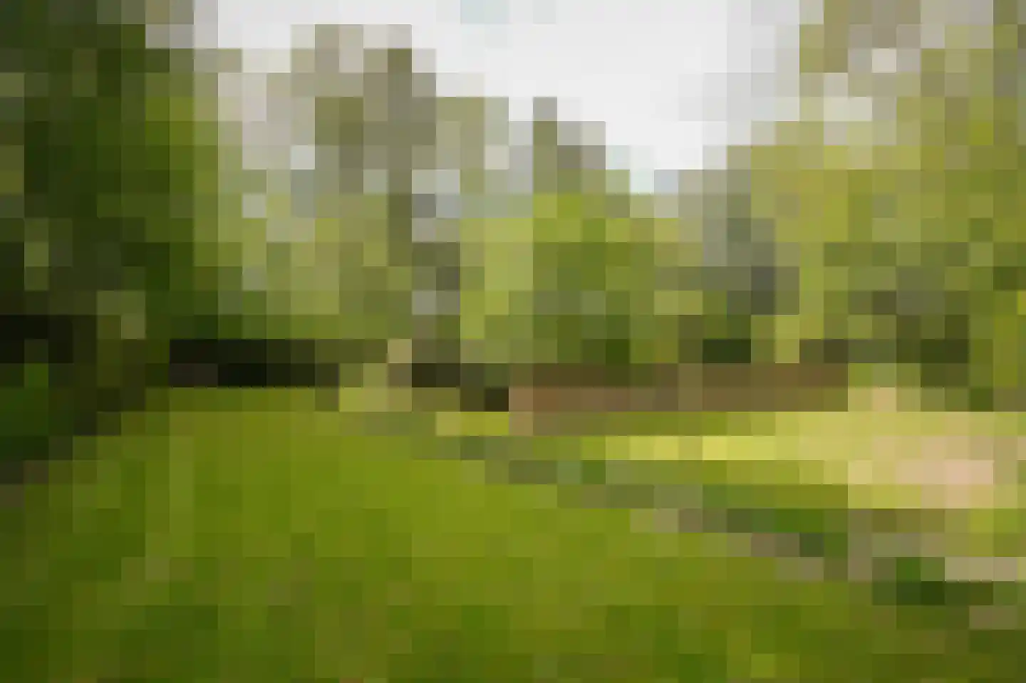 Veldweg 1 Welsum thumbnail 74
